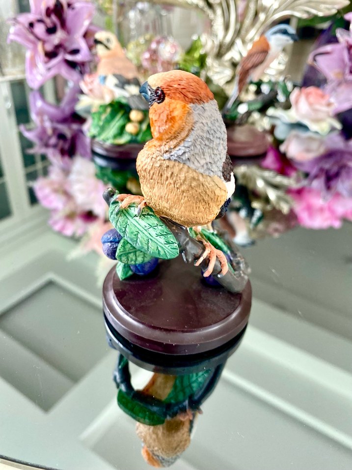 Eaglemoss HawfinchBüyük Gaga İspinozu - Görsel 4