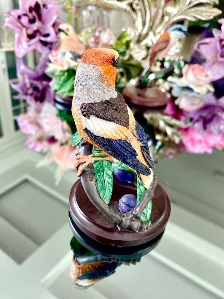 Eaglemoss HawfinchBüyük Gaga İspinozu - Görsel 3