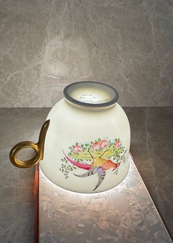 Özel Koleksiyonluk Haviland Fincan Seti - Görsel 19