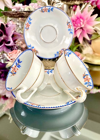 EAMAG Alt-Schönwald Kahve Fincanı - Görsel 8