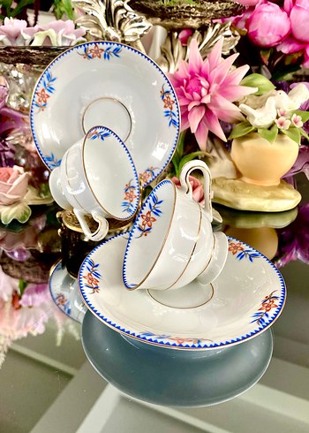 EAMAG Alt-Schönwald Kahve Fincanı - Görsel 6