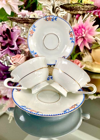 EAMAG Alt-Schönwald Kahve Fincanı - Görsel 11