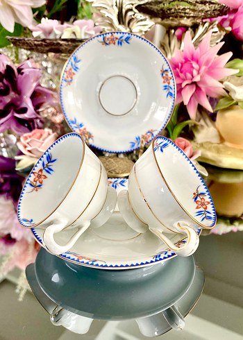 EAMAG Alt-Schönwald Kahve Fincanı - Görsel 10