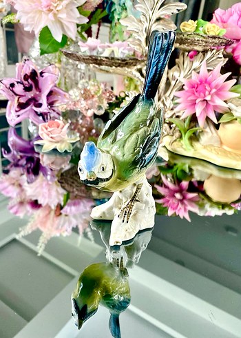 Carl Scheidig Koleksiyonluk Kuş Biblo - Görsel 2