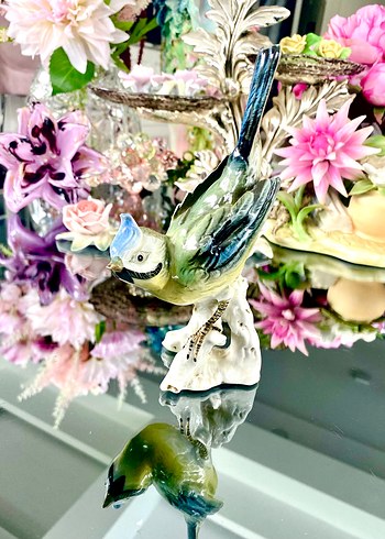 Carl Scheidig Koleksiyonluk Kuş Biblo - Görsel 9