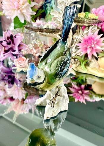 Carl Scheidig Koleksiyonluk Kuş Biblo - Görsel 20