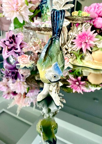 Carl Scheidig Koleksiyonluk Kuş Biblo - Görsel 7