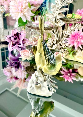 Carl Scheidig Koleksiyonluk Kuş Biblo - Görsel 14