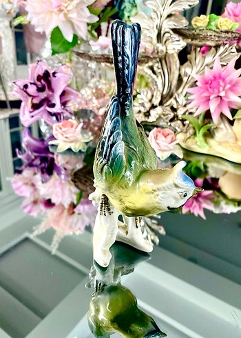 Carl Scheidig Koleksiyonluk Kuş Biblo - Görsel 16