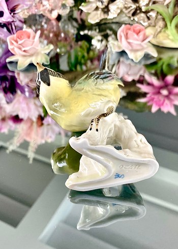 Carl Scheidig Koleksiyonluk Kuş Biblo - Görsel 19