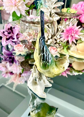 Carl Scheidig Koleksiyonluk Kuş Biblo - Görsel 15