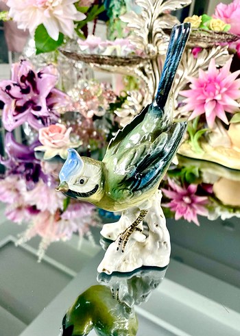 Carl Scheidig Koleksiyonluk Kuş Biblo - Görsel 10