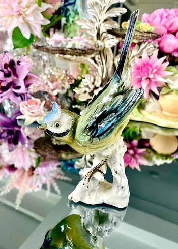 Carl Scheidig Koleksiyonluk Kuş Biblo - Görsel 12