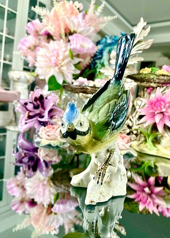 Carl Scheidig Koleksiyonluk Kuş Biblo - Görsel 3