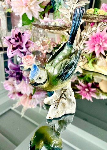 Carl Scheidig Koleksiyonluk Kuş Biblo - Görsel 11