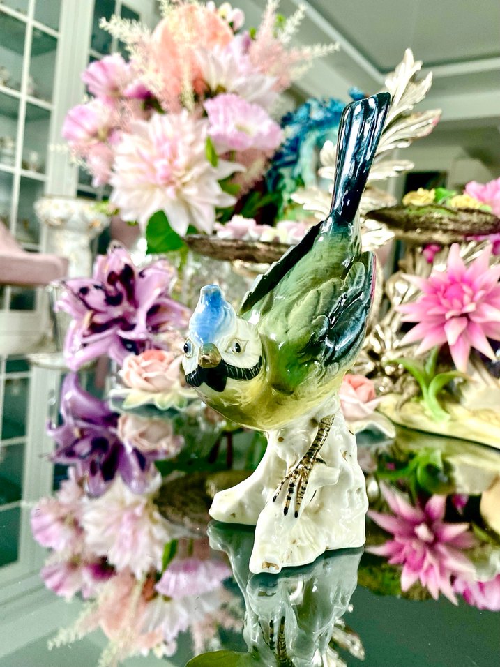 Carl Scheidig Koleksiyonluk Kuş Biblo - Görsel 3