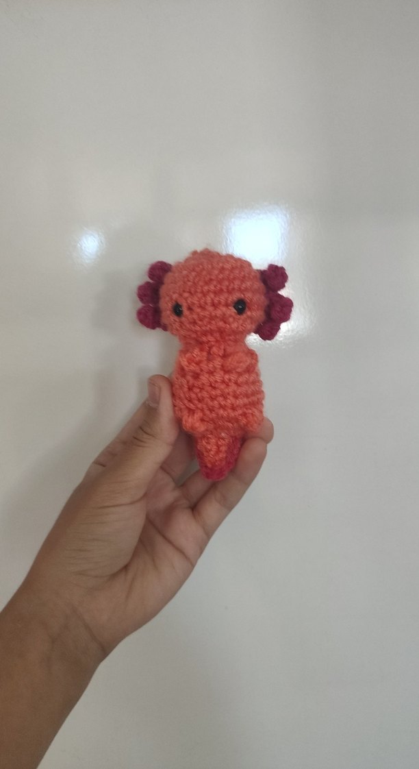 Renkli Örgü Bohem Anahtarlık axolotl - Görsel 2
