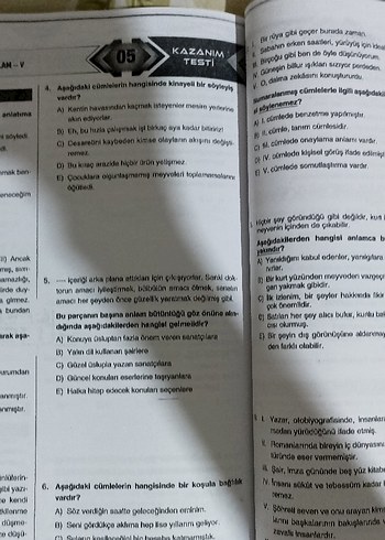 Türkçe testi - Görsel 10