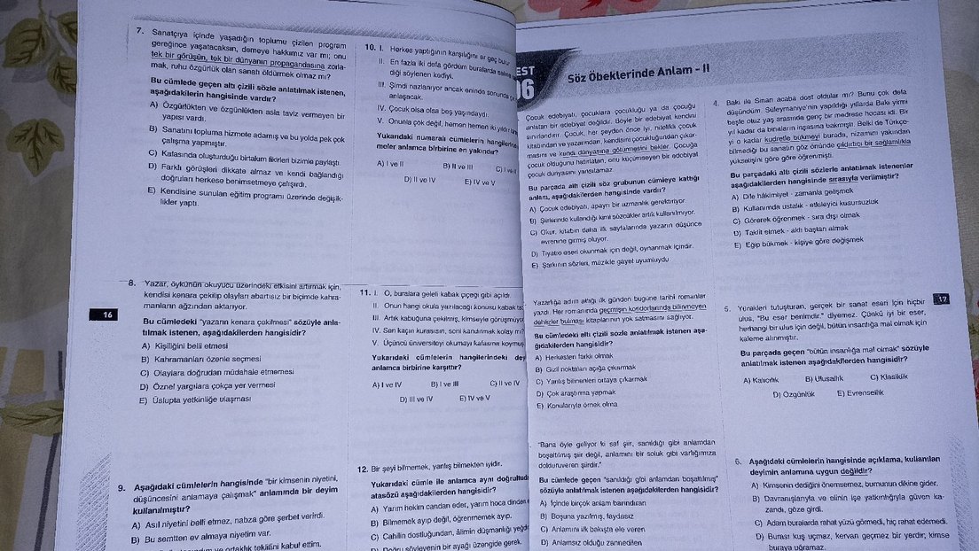 Türkçe testi - Görsel 2