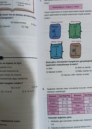 TYT Biyoloji Soru Bankası 2026 - Görsel 6