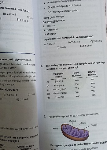 TYT Biyoloji Soru Bankası 2026 - Görsel 7