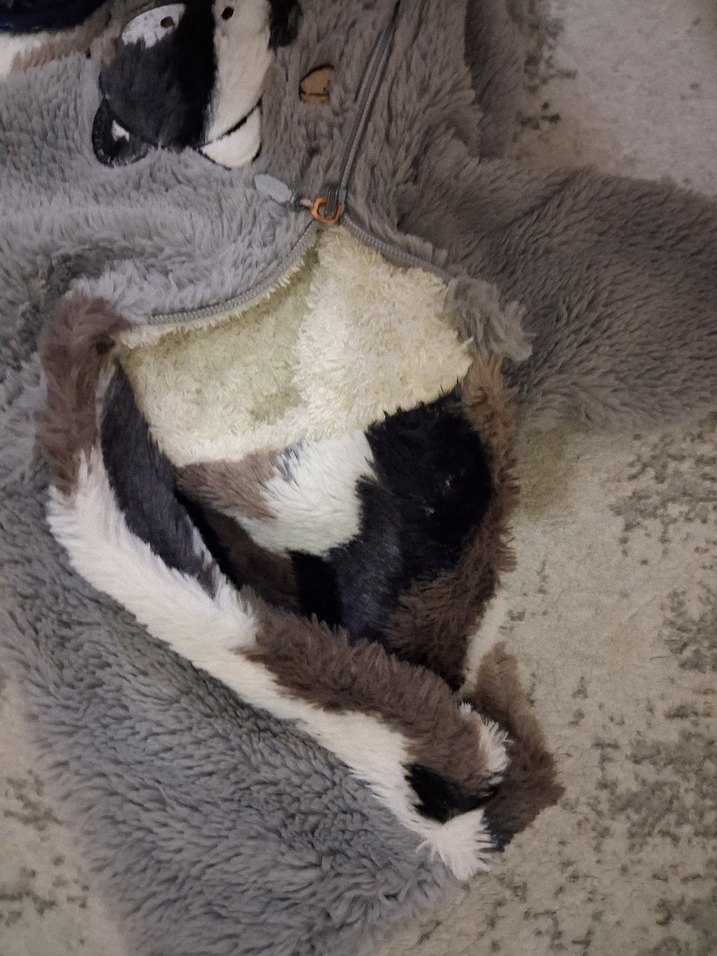 Kapüşonlu Gri Erkek Çocuk Kaban - Görsel 3