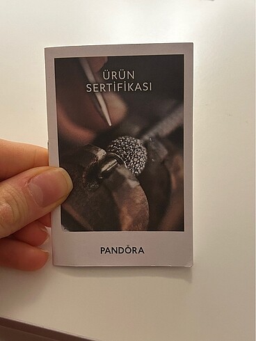  Beden gri Renk Pandora charm