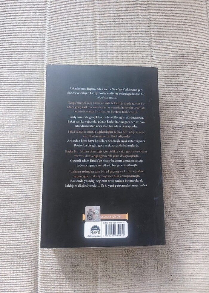 Uçaktaki yabancı  - Görsel 2