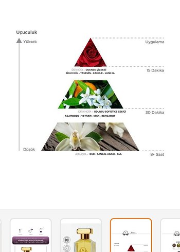 Nazen İstanbul Saray koleksiyonu - Görsel 6