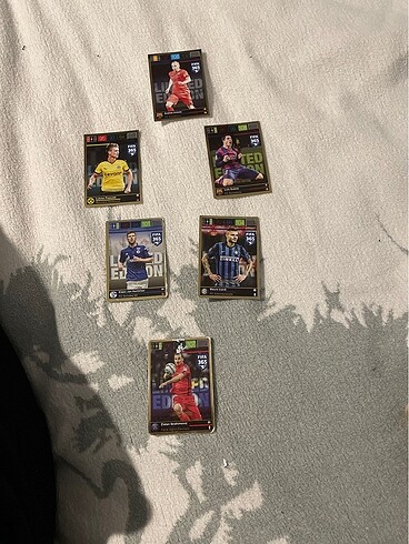 Panini Futbolcu Kartları