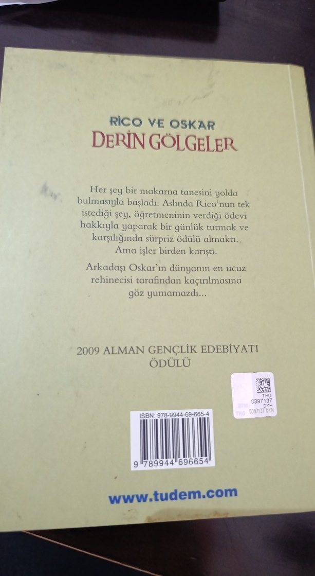 Rico ve Oskar: Derin Gölgeler - Andreas Steinhofel - Görsel 2