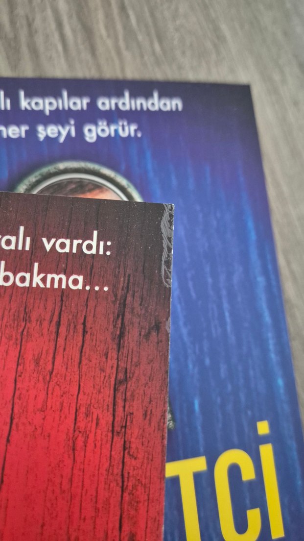 Hizmetçi - hizmetçinin sırrı Freida McFadden - Görsel 3