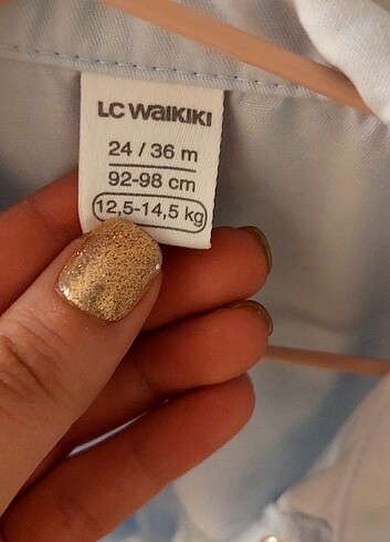 LC Waikiki Elbise