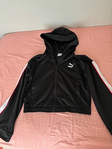 Puma hirka
