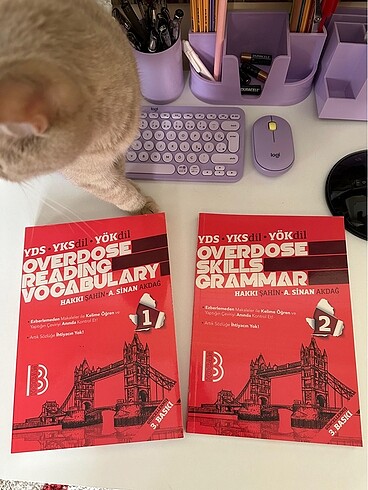 overdose skills grammar reading vocabulary