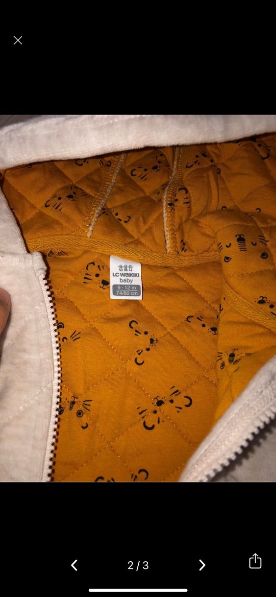 Kapüşonlu Erkek Çocuk Montu, Fermuarlı, Gri - Görsel 2