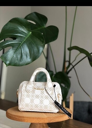 Mini speedy 