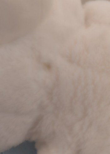 Beden Beyaz ve Gri Peluş Ayıcık