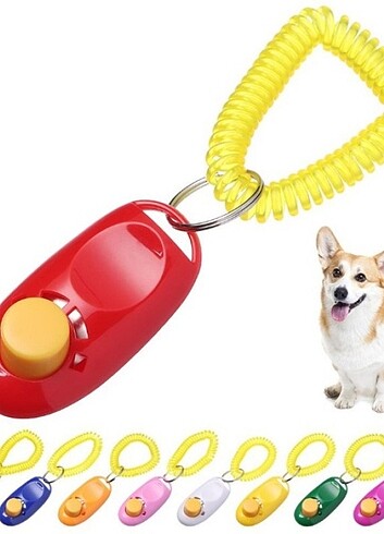 Köpek Eğitimi Clicker