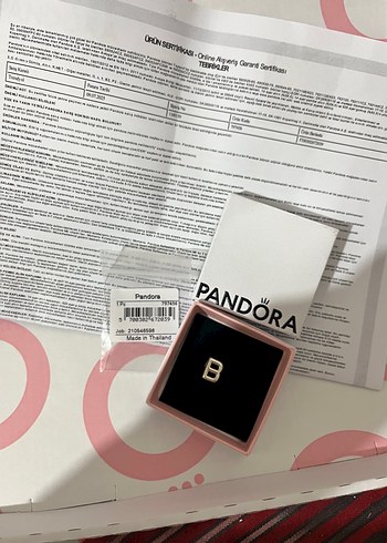 Pandora charm