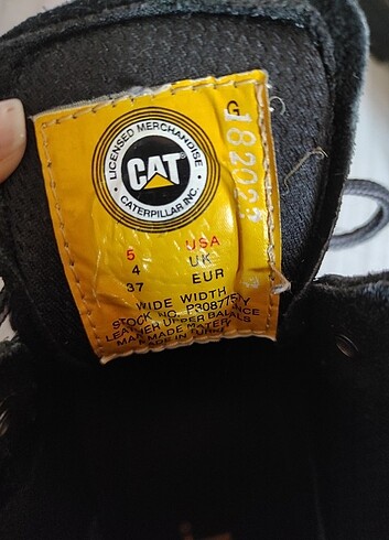 37 Beden Orijinal Cat bot