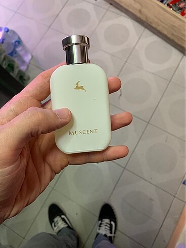 Muscent c segment unisex parfüm