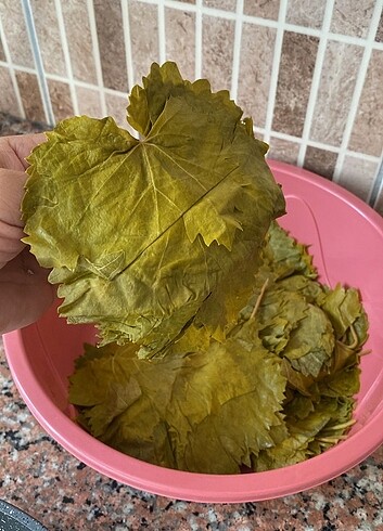 Tokat erbaa yaprağı