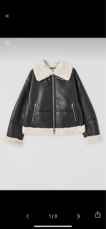 Pull and bear mont