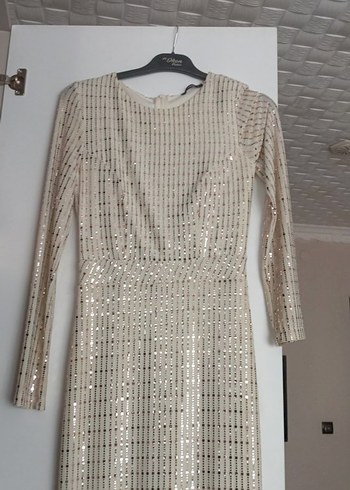 Bej Payetli taşlı astarlı Kadın Uzun balık Abiye Elbise - Görsel 3