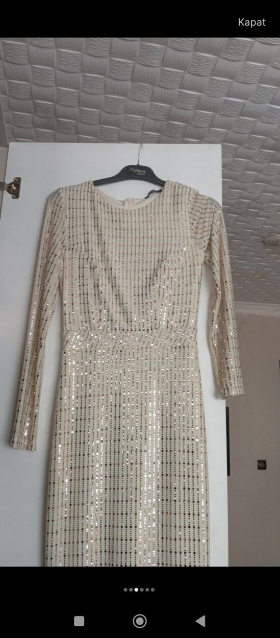Bej Payetli taşlı astarlı Kadın Uzun balık Abiye Elbise - Görsel 3