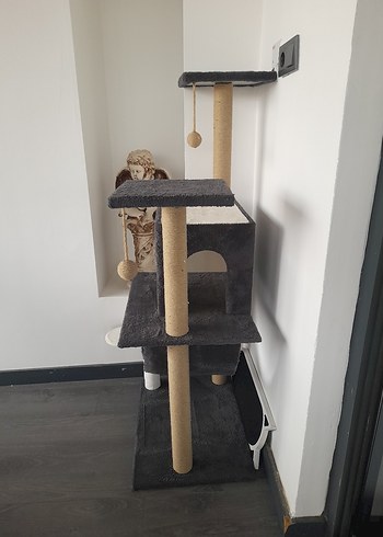 Kedi evi - Görsel 4