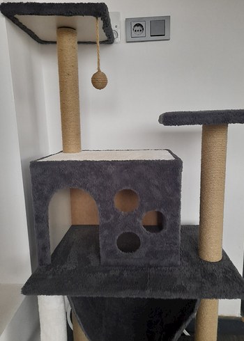 Kedi evi - Görsel 2