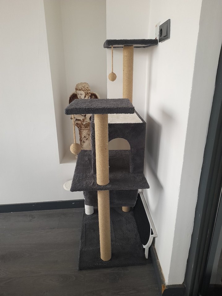 Kedi evi - Görsel 4