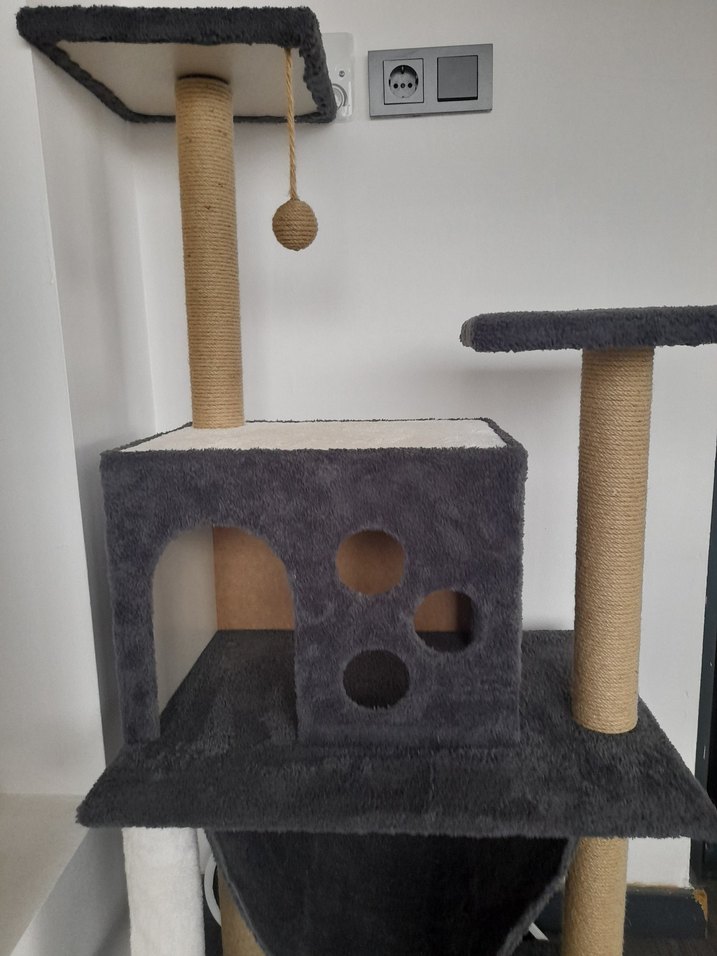 Kedi evi - Görsel 2